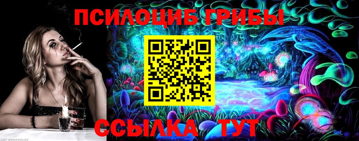 Галлюциногенные грибы Psilocybe Губкинский