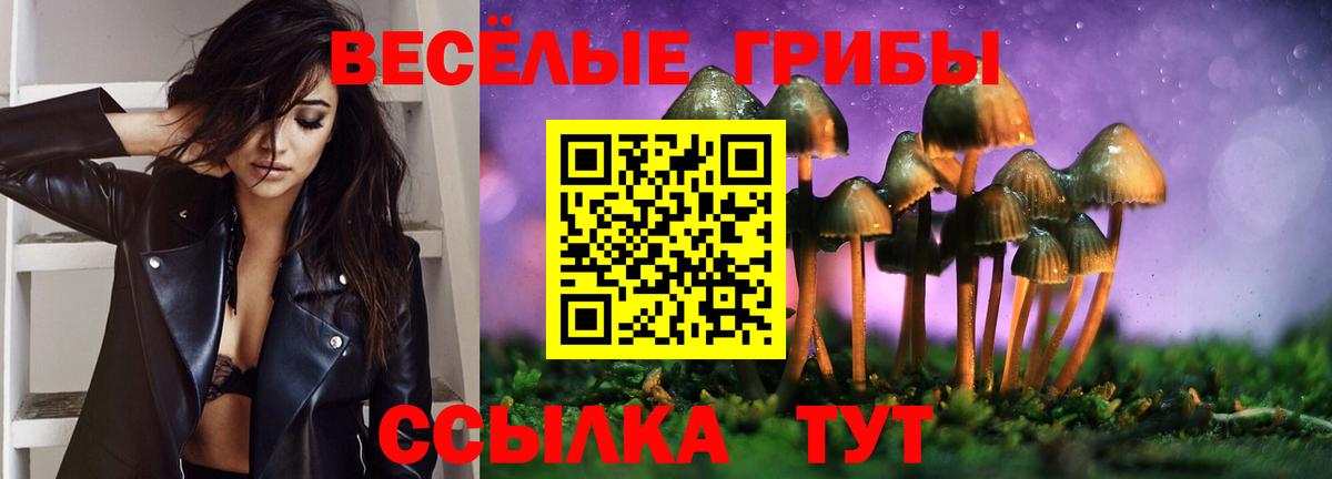 Губкинский  Псилоцибиновые грибы GOLDEN TEACHER  Вход с VPN 